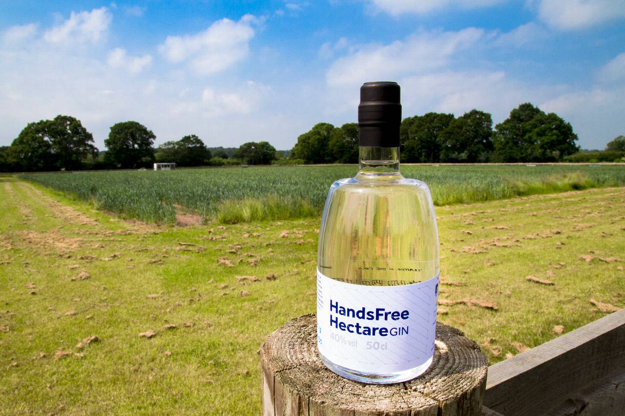 Gin from the HFH