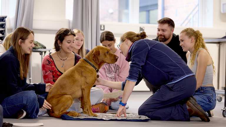 A group of Harper Adams students and a lecturer in a practical session with a dog.