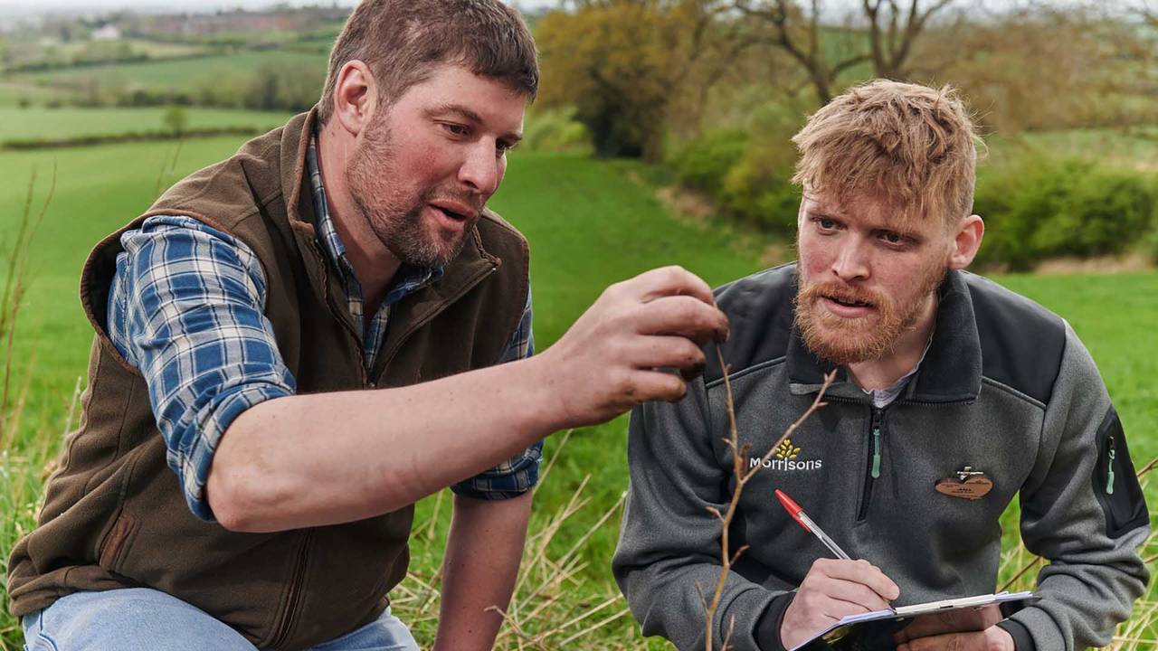 Researchers in a field