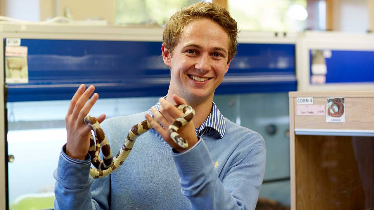 A student handling a snake in the CAH