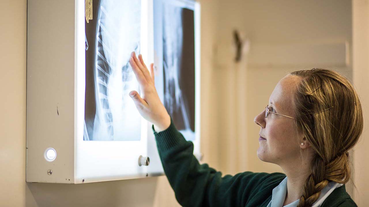 Veterinary nursing student examining an X-ray