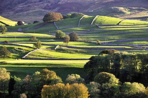 Carbon in the landscape
