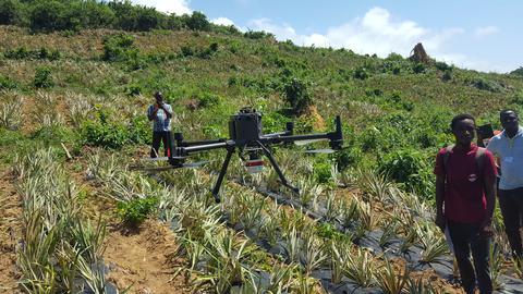 UAVs & pineapples